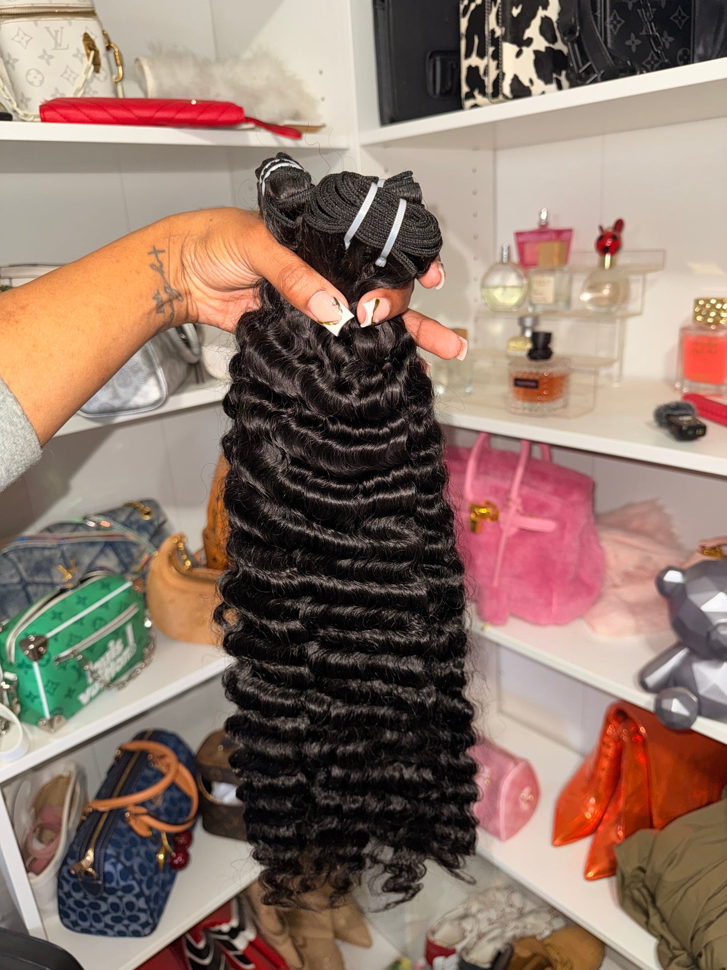 (Essential VIRGIN Collection - BURMESE CURLY